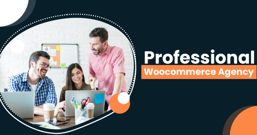 Professional Woocommerce Agency